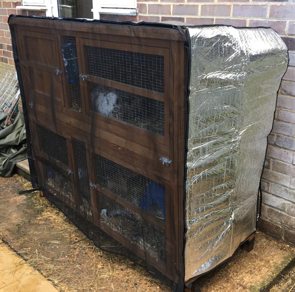 hutch-snuggle-rabbit-hutch