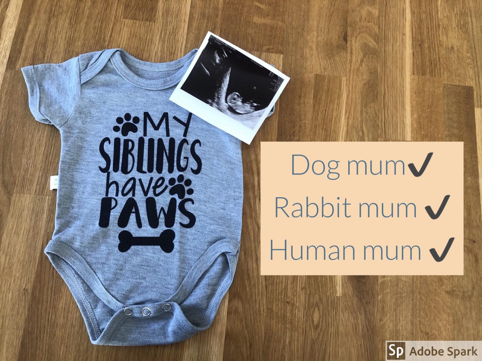 How To Prepare Your Dog For The Arrival Of A New Baby Part One The